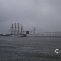 IMG_1466395