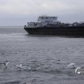 IMG_1466495