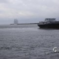 IMG_1466498
