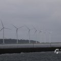IMG_1466508