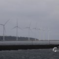 IMG_1466509