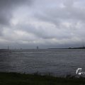 IMG_1466516