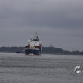 IMG_1466537