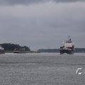 IMG_1466541