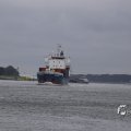 IMG_1466543
