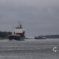 IMG_1466545