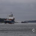 IMG_1466546