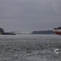 IMG_1466550
