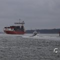 IMG_1466558