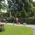IMG_1466832