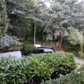 IMG_1468160