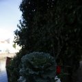 IMG_1467973