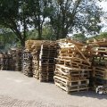IMG_1468197
