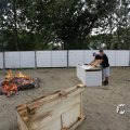 IMG_1468287
