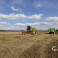 IMG_1468217