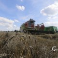 IMG_1468236
