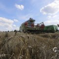 IMG_1468237