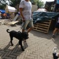 IMG_1468563