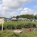 IMG_1468892