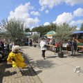 IMG_1469267