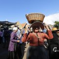 IMG_1471193