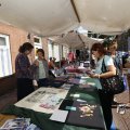 IMG_1471291