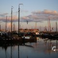 IMG_1472120