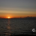 IMG_1472137