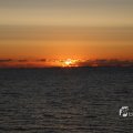 IMG_1472145