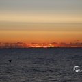 IMG_1472192