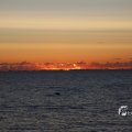 IMG_1472194