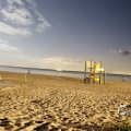 IMG_1472218