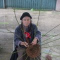 IMG_1472576