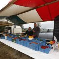 IMG_1473929