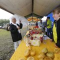 IMG_1474302