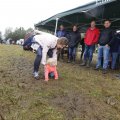 IMG_1474333