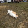 IMG_1474824