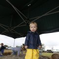 IMG_1474841