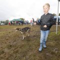 IMG_1474860