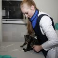 IMG_1477527