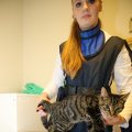 IMG_1477548
