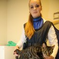 IMG_1477550