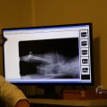 IMG_1477554