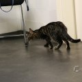 IMG_1477564