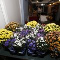 IMG_1479347