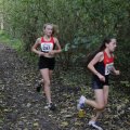 IMG_1478336