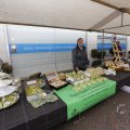IMG_1480709