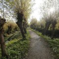 IMG_1483442