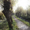 IMG_1483444