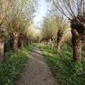 IMG_1483449
